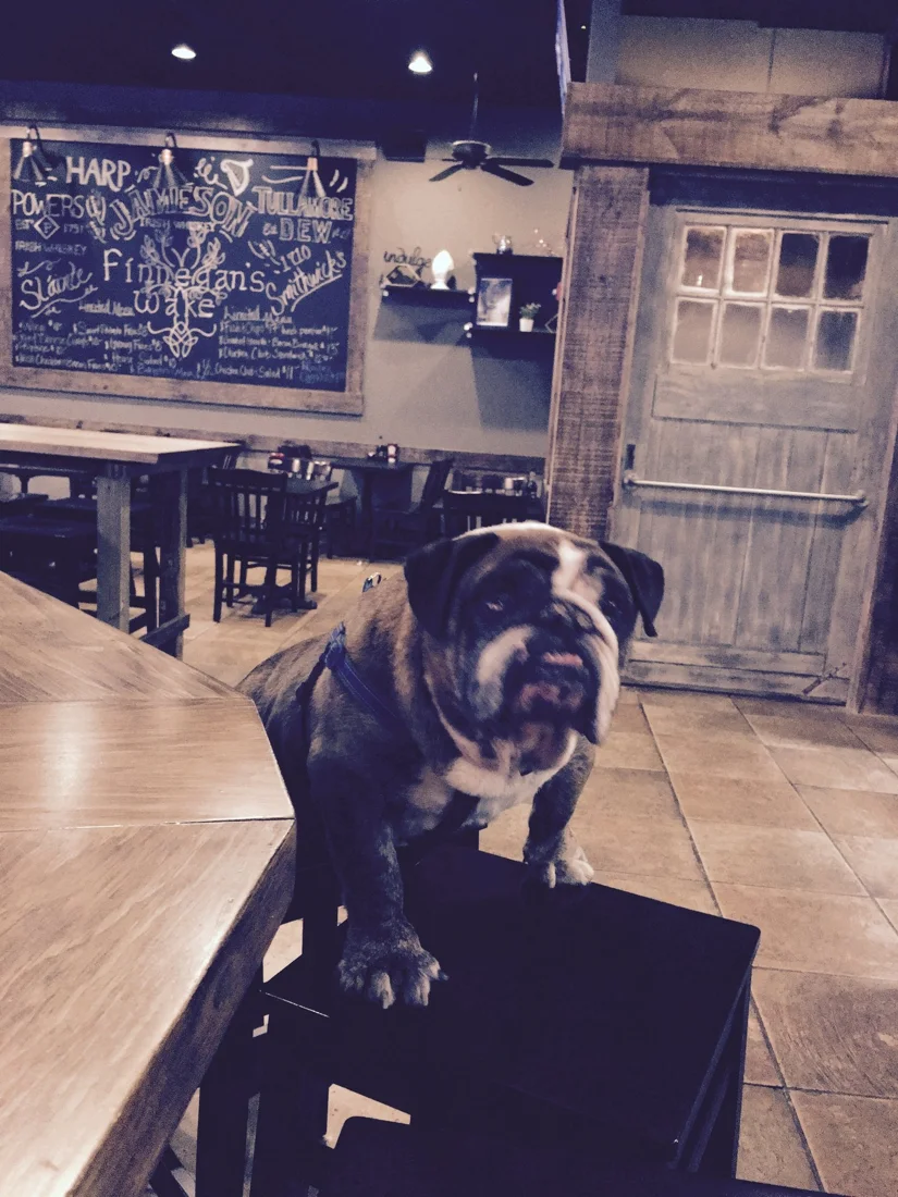 Finnegan's Wake, business photo 4