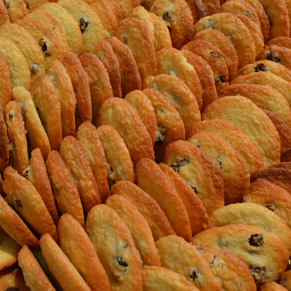 Yasaman Bakery, business photo 4